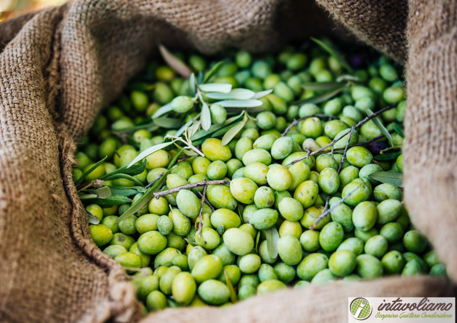 Olio Sicilia intavoliamo