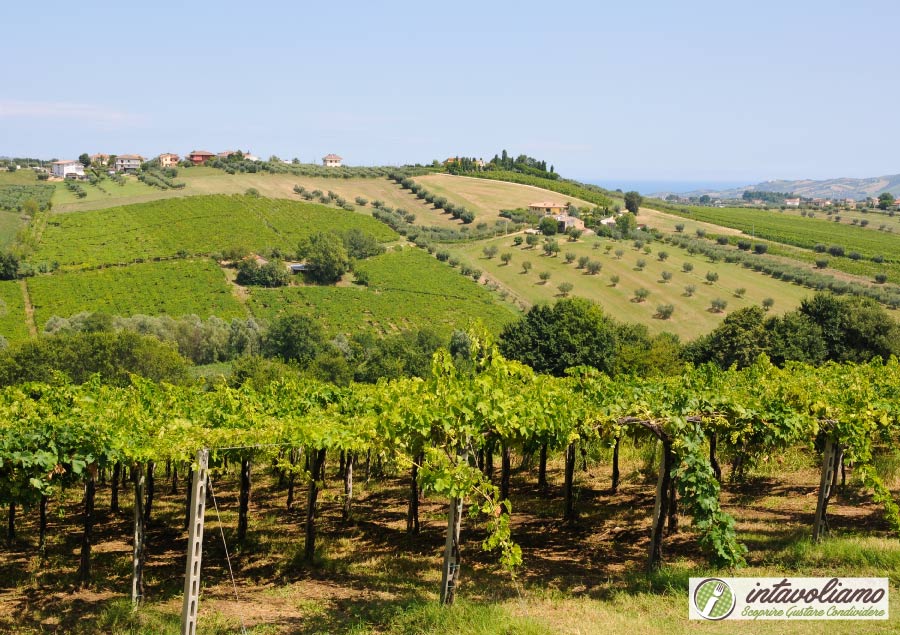 agricoltura abruzzese intavoliamo