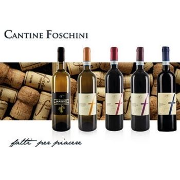 Cantine Foschini srl logo