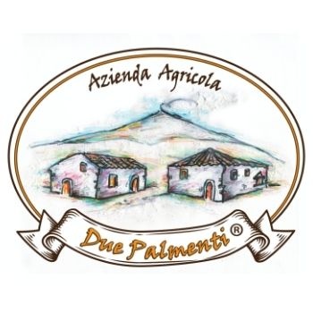 Azienda Agricola Due Palmenti, logo